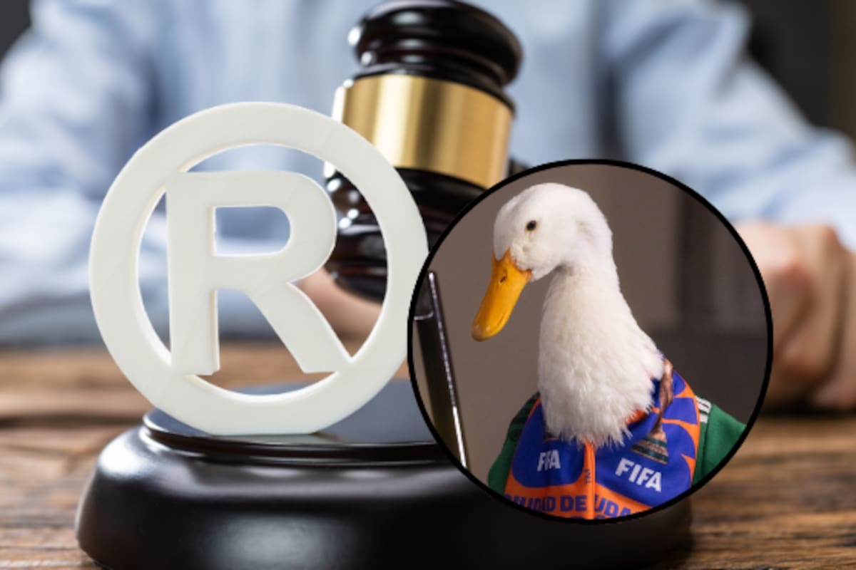¿Cómo registrar una marca ante el IMPI? El caso del Pato Merlín explica el trámite, costo y beneficios en 2026