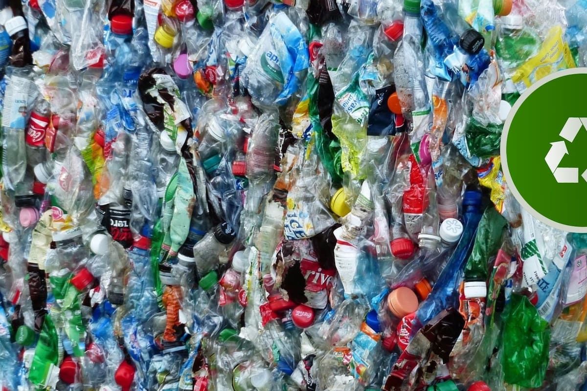 Aprueban reforma para fortalecer la economía circular y formalizar redes de reciclaje en Baja California