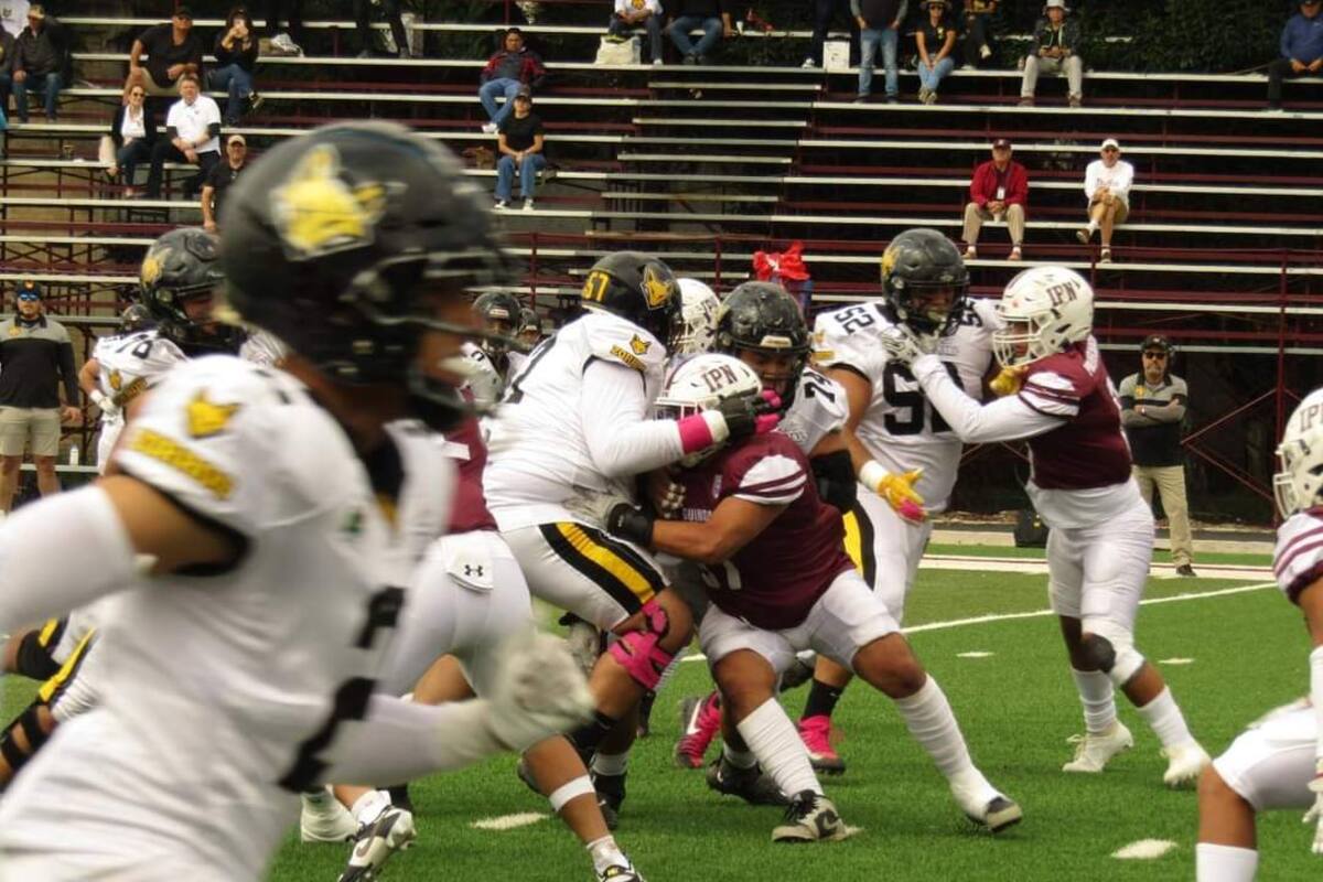 Zorros sigue imparable dentro de la ONEFA