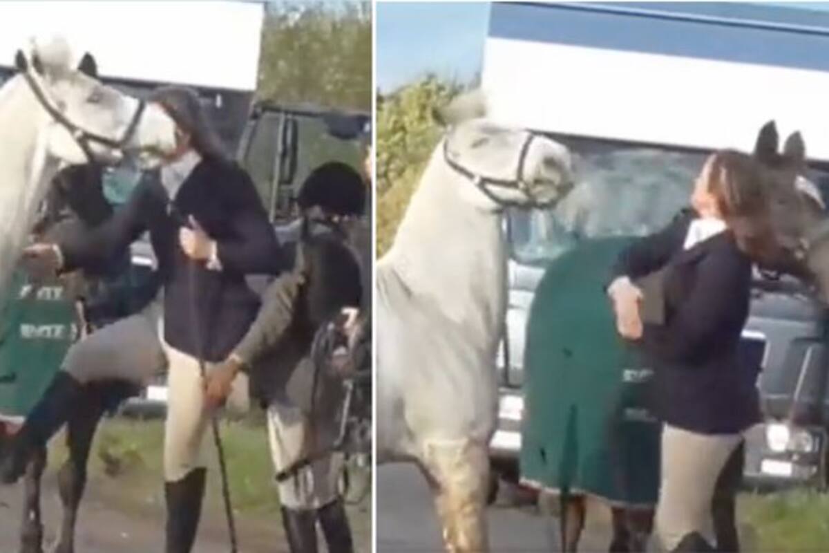 VIDEO: Despiden a maestra por agarrar a patadas y cachetadas a un caballo