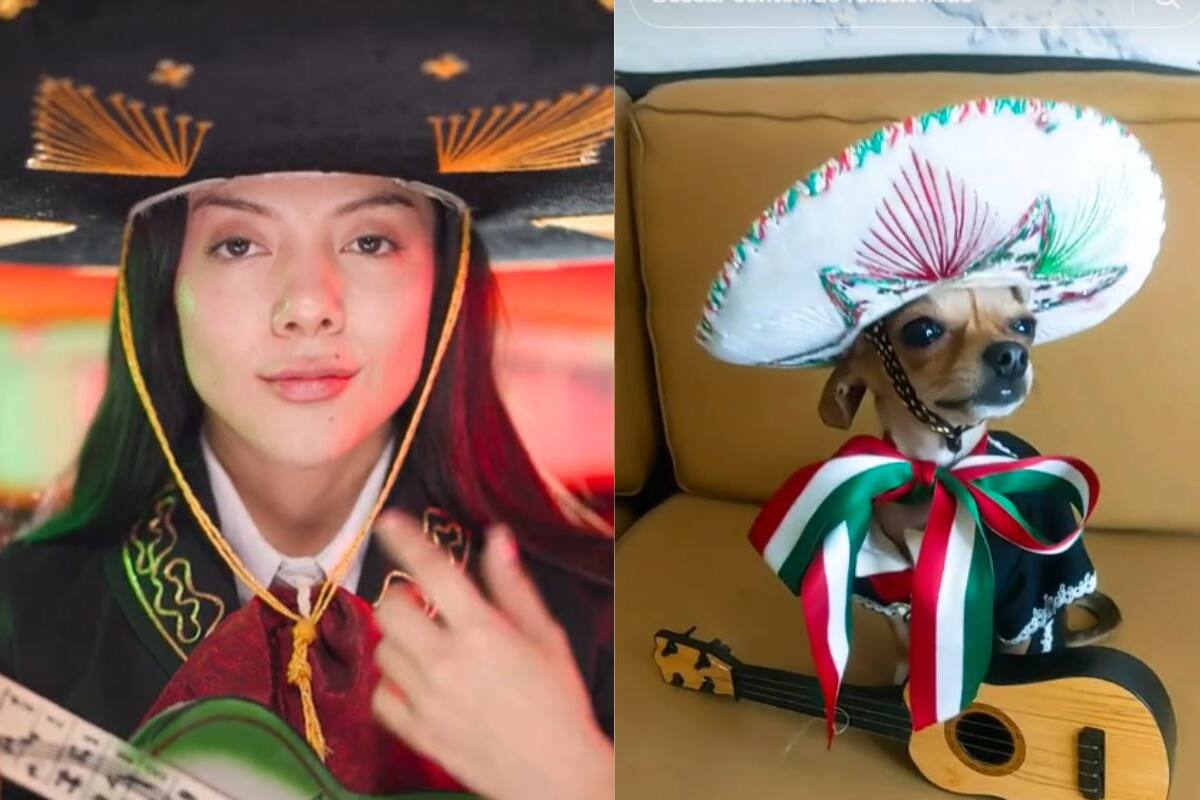 Perrito Chihuahua se hace viral por imitar VIDEO de Doris Jocelyn