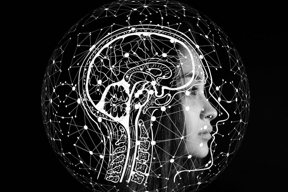 El cerebro no es el único lugar donde se almacenan los recuerdos, según estudio