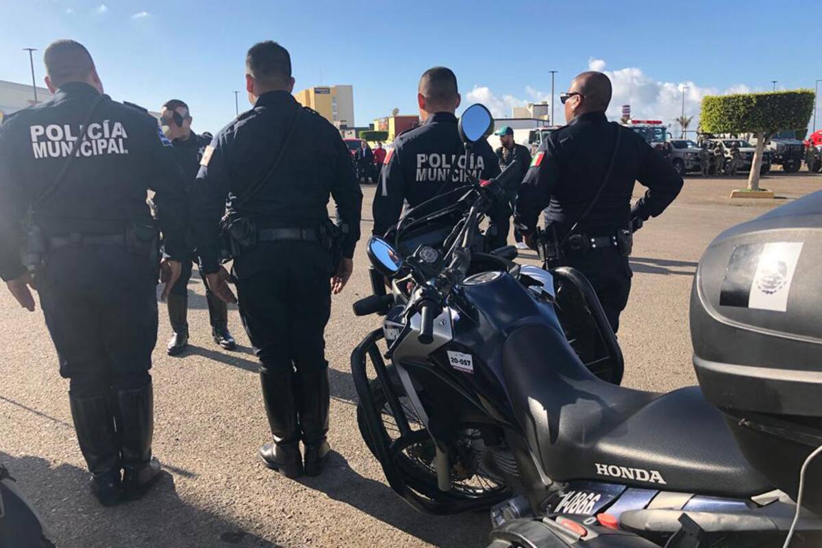 Fallas en sistemas para contratar inciden en actos de corrupción: Fedabo