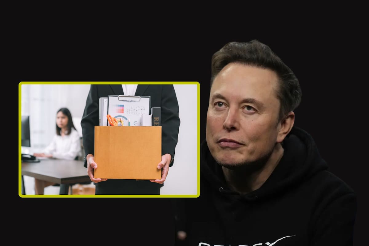 Elon Musk despidió a 500 empleados y decide poner a un estudiante de 20 años al mando de su IA
