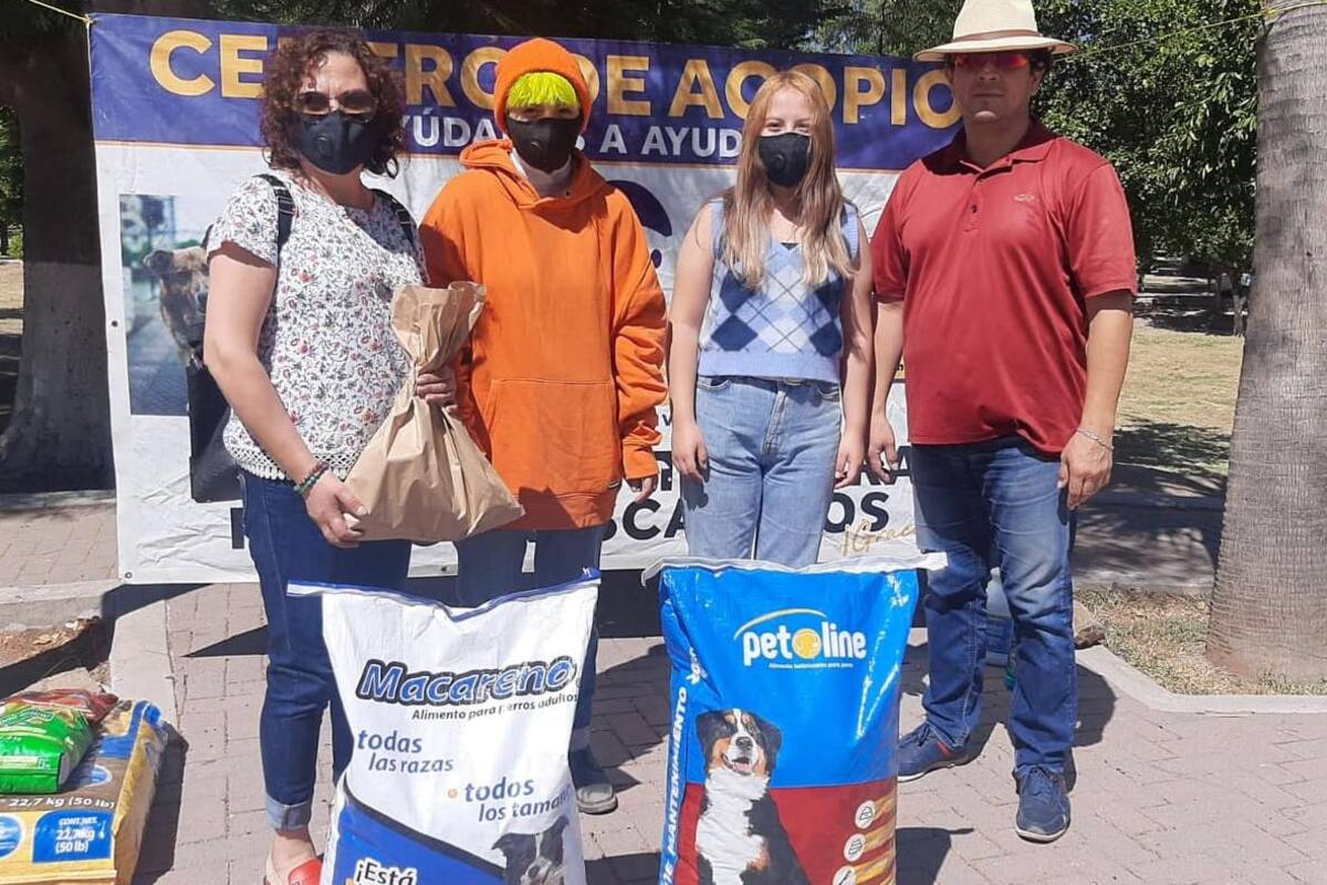 Realizan "Perrotón" en el Parque Madero para ayudar a 50 perros y gatos