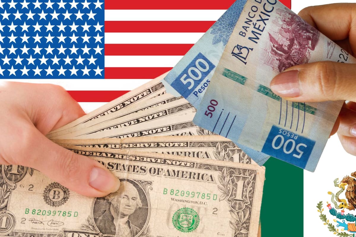 El dólar pierde ligeramente terreno este sábado 4 de octubre de 2025 y así cotiza el tipo de cambio