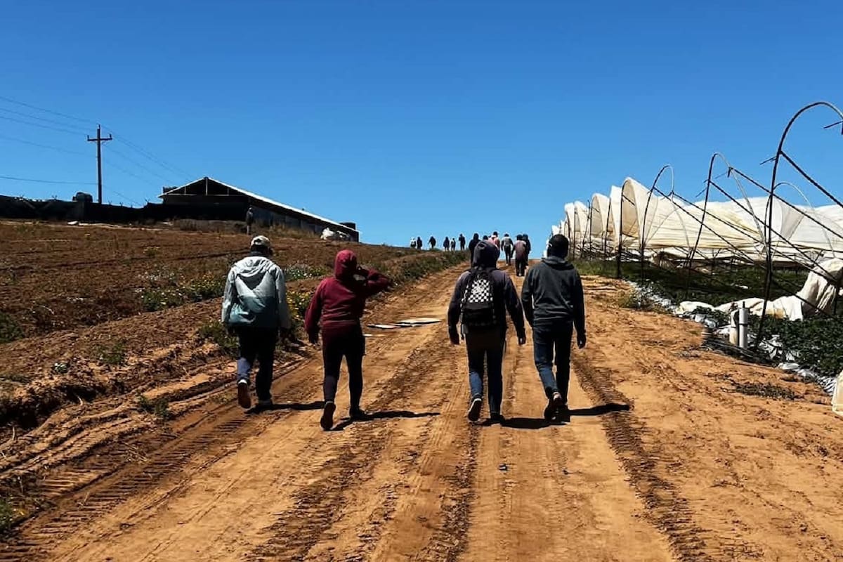 Codeen respalda formalidad en el campo y pide gradualidad