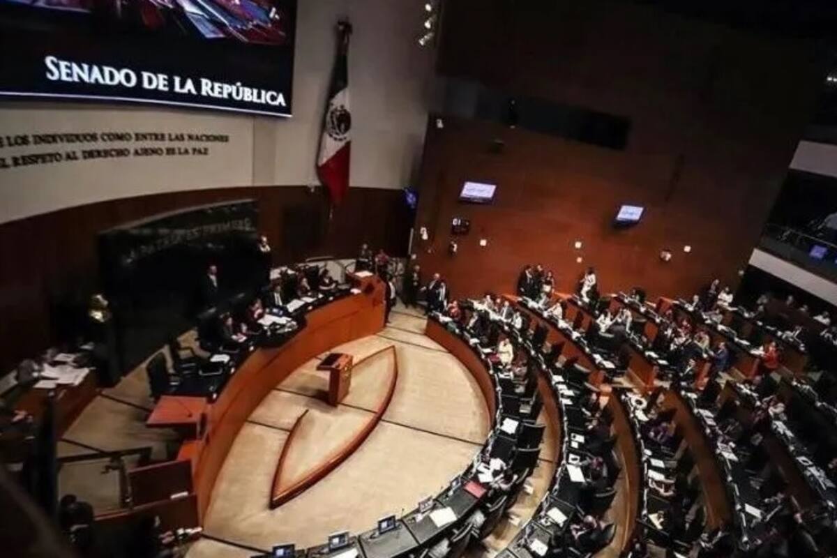 Morena presenta plan de austeridad ante el Senado por Covid-19