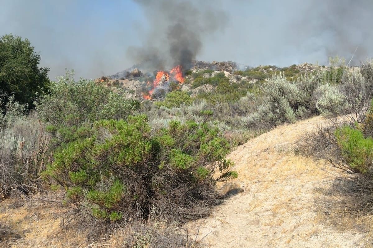 Dos incendios de pastizal afectan 229 hectáreas en Tijuana