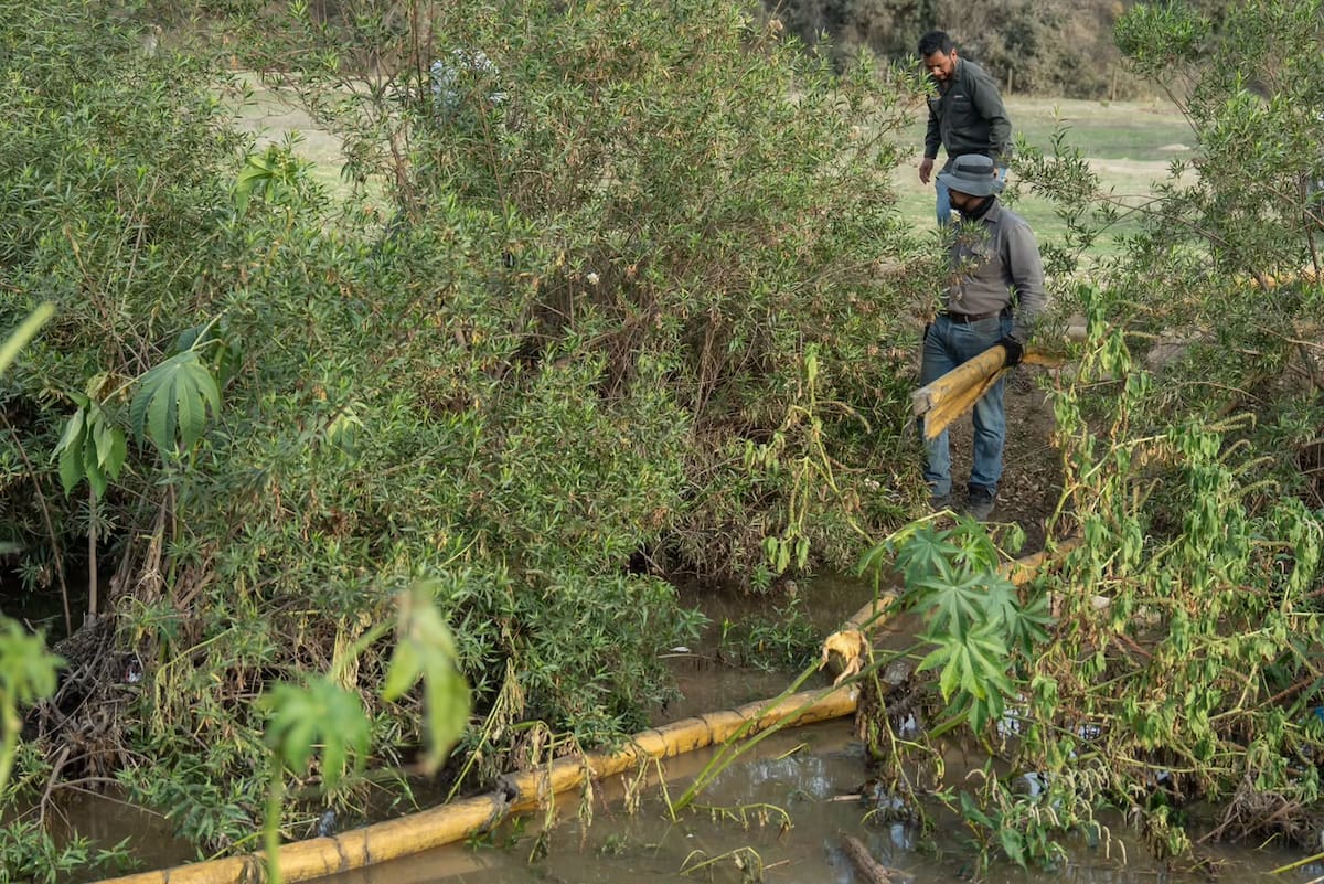 Un derrame de 9 mil litros de diésel contaminó dos kilómetros del arroyo Cañón Rosarito. Autoridades instalaron barreras y ordenaron limpiar la zona. Foto: Border Zoom