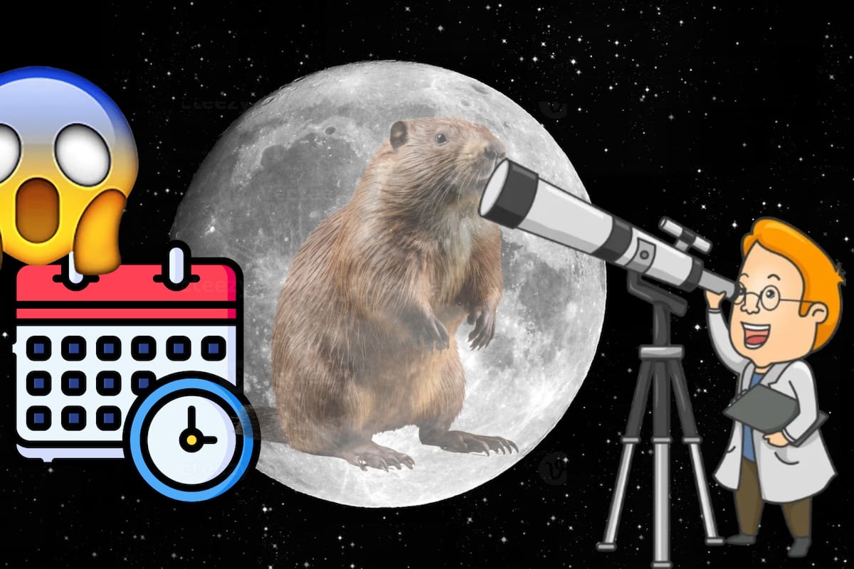 Luna de Castor 2024: Este día y a esta hora se podrá observar en México este impresionante fenómeno astronómico