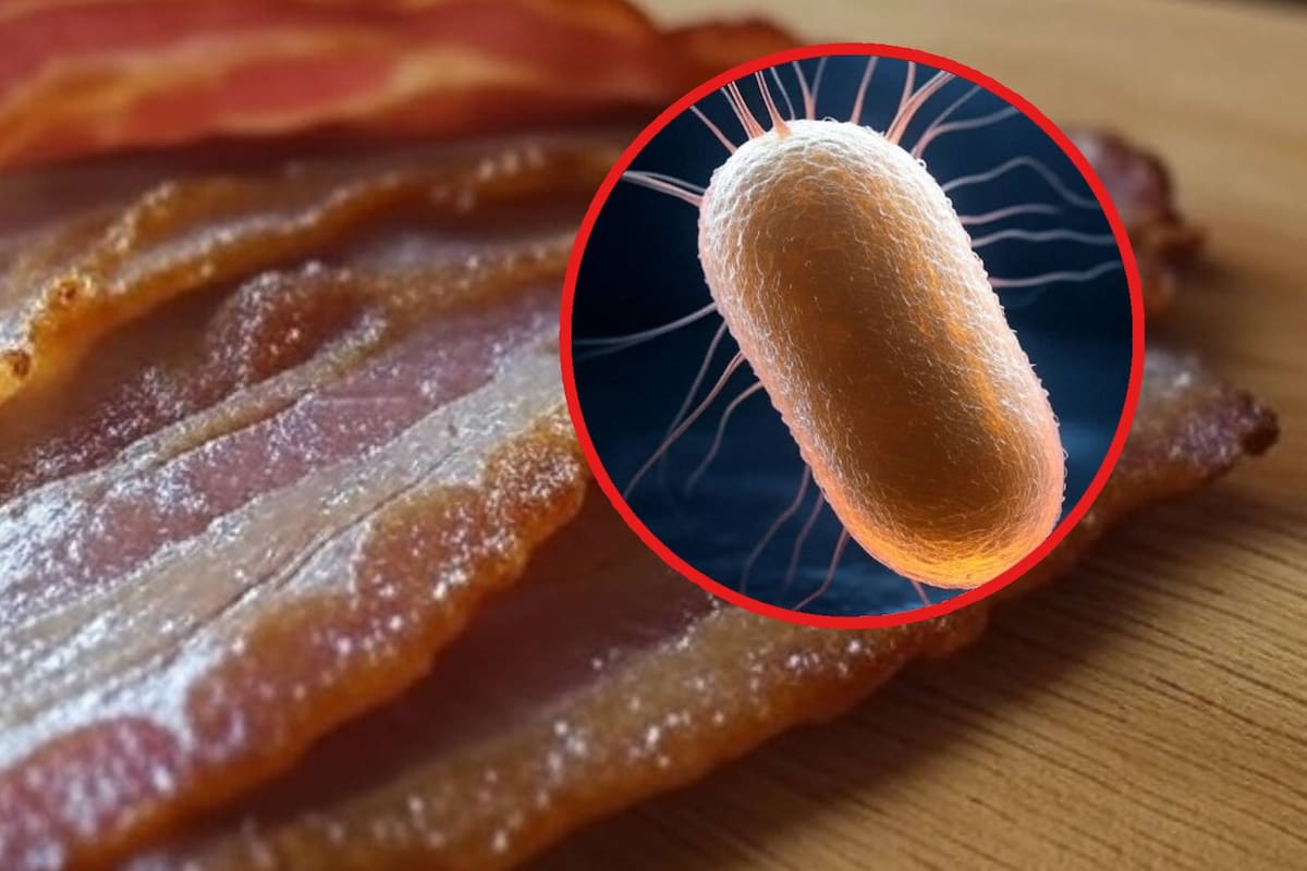 Retiran este tocino de pavo Oscar Mayer por riesgo de listeria en EEUU