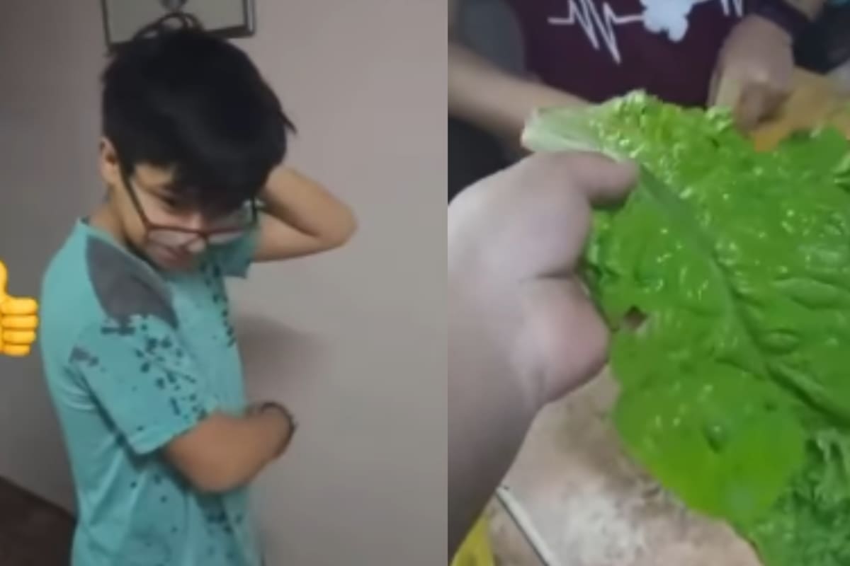 “El de la verdulería se las regaló por lástima”: Mandan a joven a traer una lechuga, pero solo trae 2 hojas