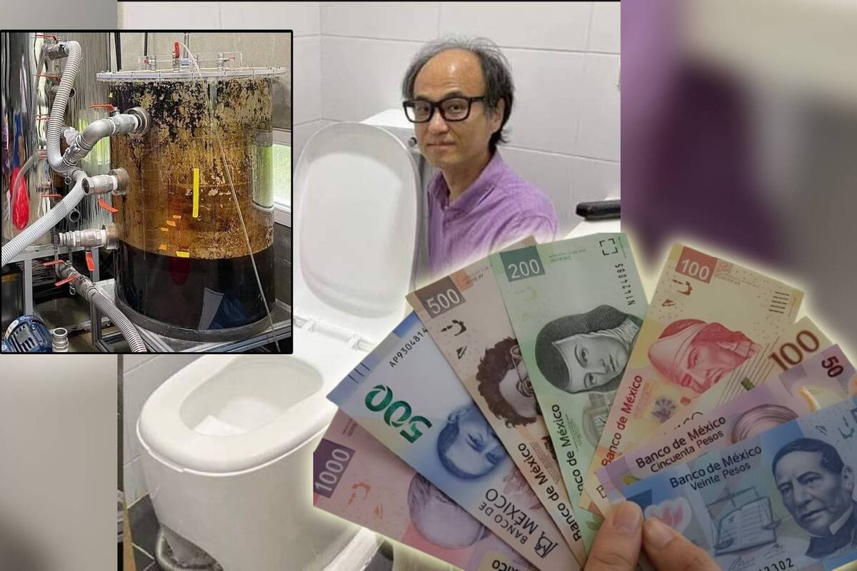 ¡Te pagaría por lo que haces en el baño! Profesor crea inodoro que convierte desechos en energía