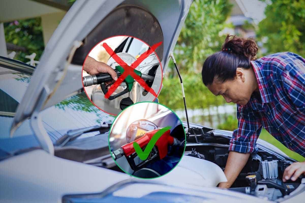 Estos son los autos que no deben usar gasolina Magna porque les daña el motor
