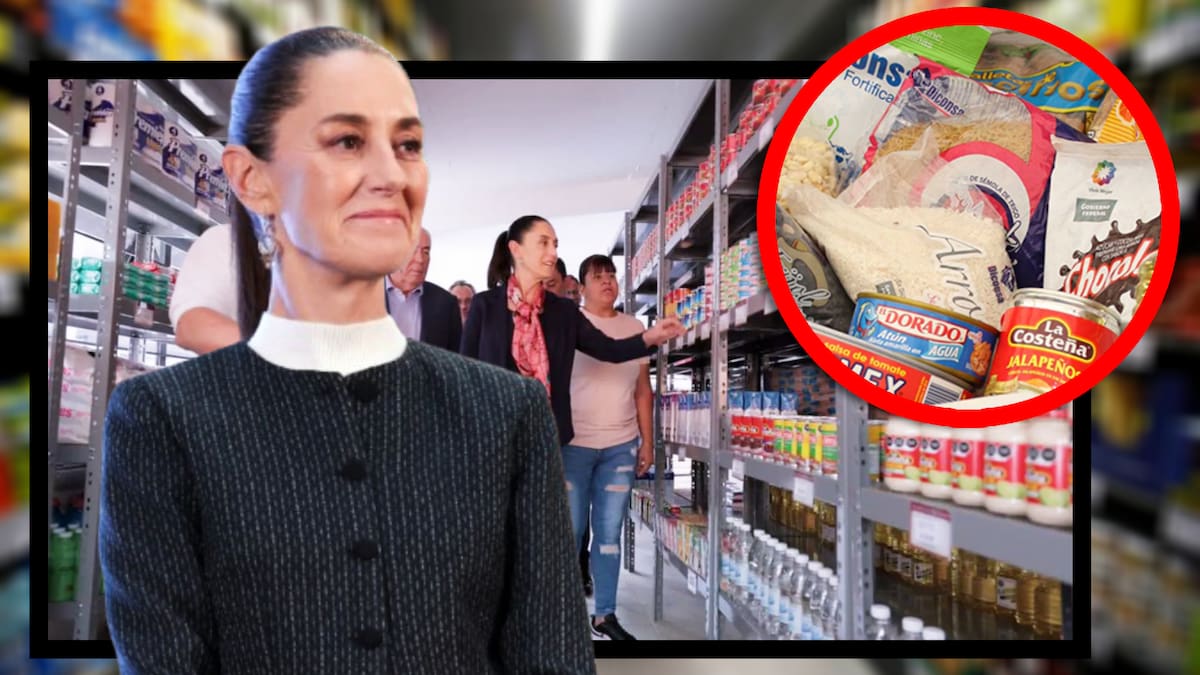 Tiendas del Bienestar: el plan de Sheinbaum para ofrecer productos básicos baratos. FOTO: Especial