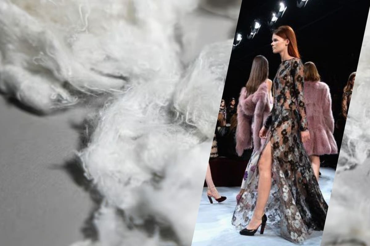 Industria de la moda presenta plan de financiación para la descarbonización del algodón