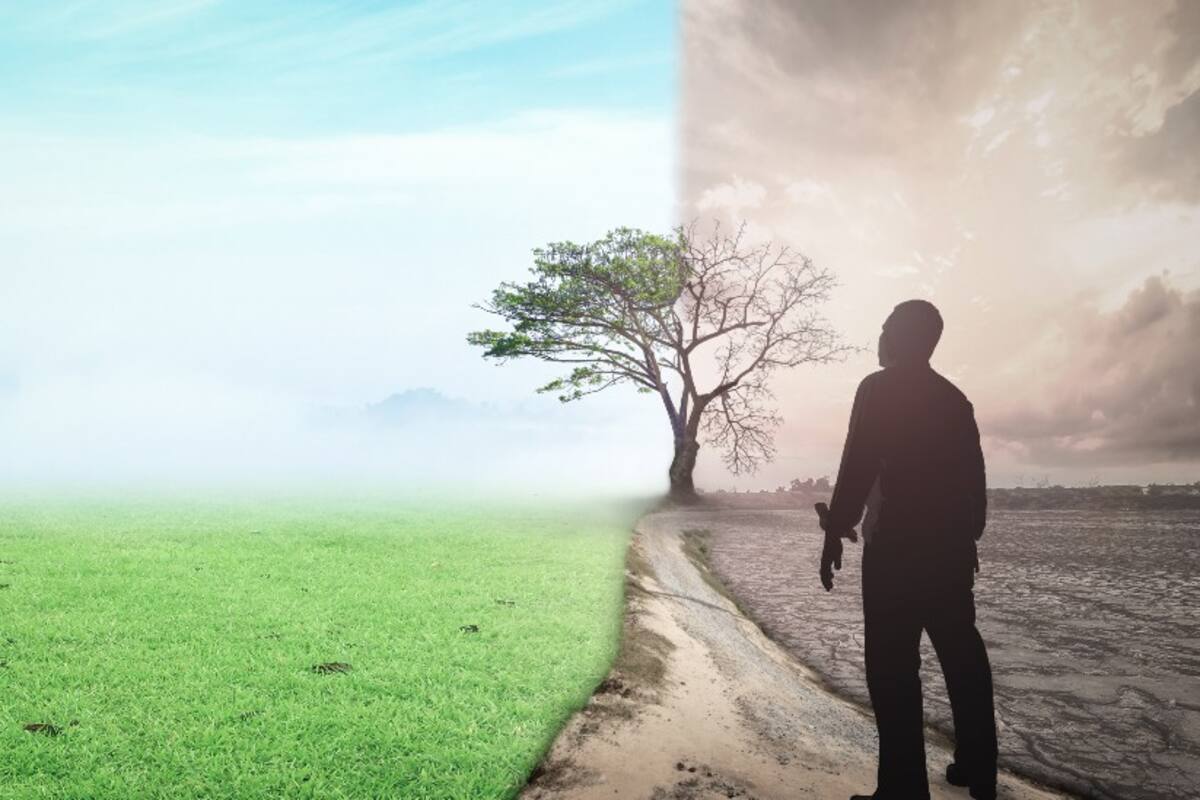 La advertencia científica sobre el riesgo de la extinción humana por una catástrofe climática