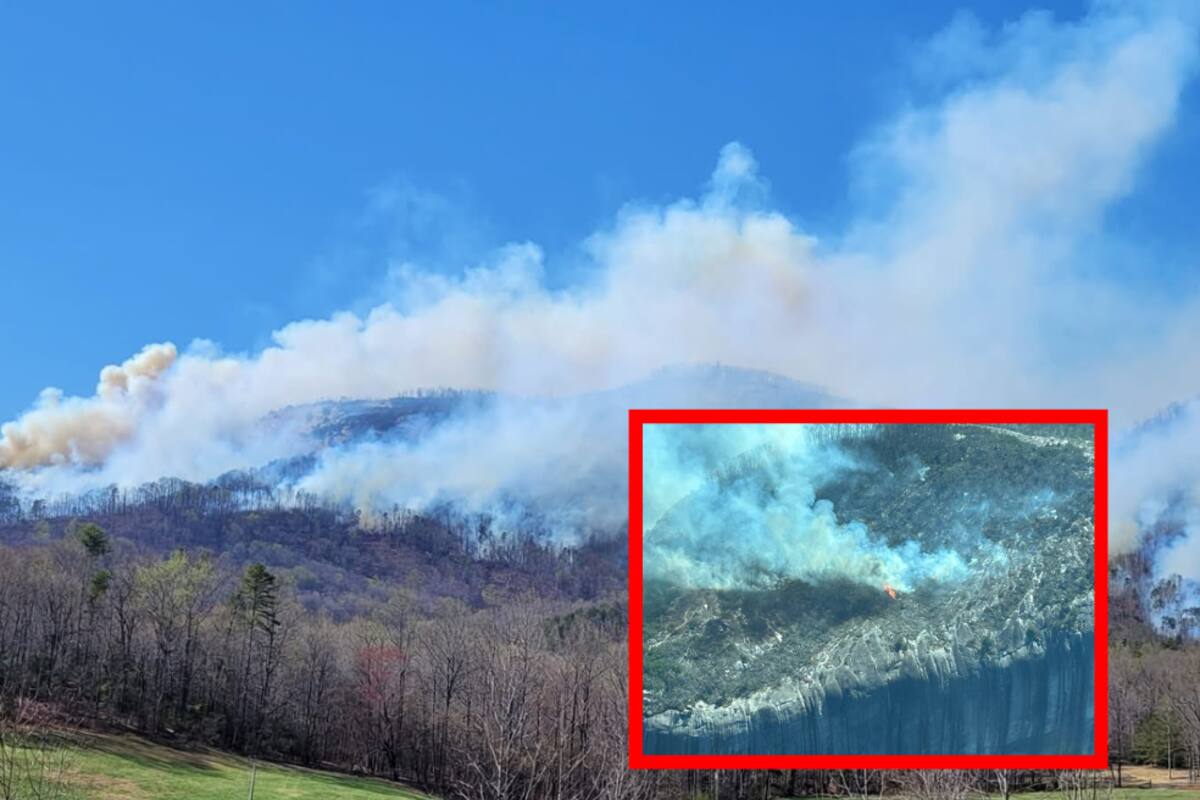 Evacuaciones masivas en Carolina del Norte y del Sur: incendios arrasan el territorio | VIDEO