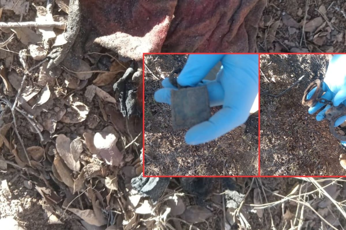 Encuentran osamenta en Nogales tras llamada anónima