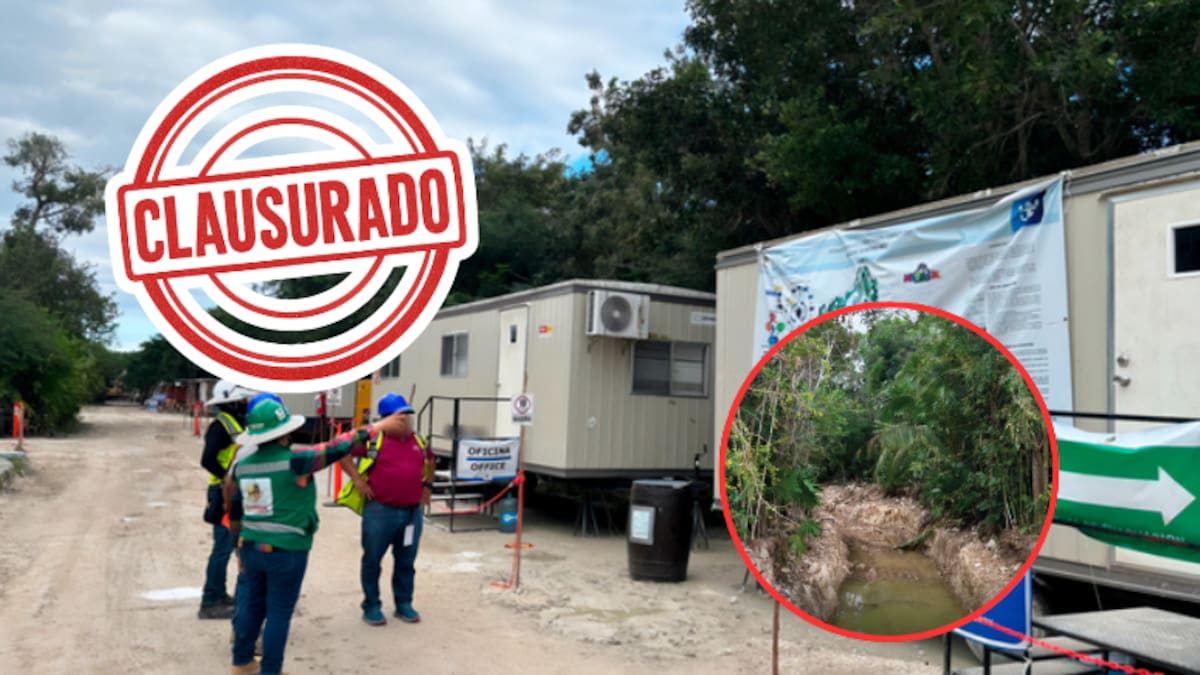 Clausura Profepa el proyecto turístico “Perfect Day Mahahual” tras devastar manglar con obras ilegales y demoliciones en Quintana Roo