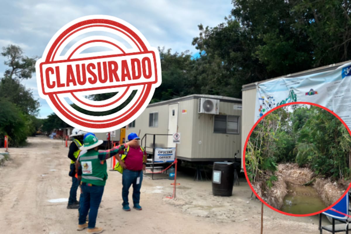 Clausura Profepa el proyecto turístico “Perfect Day Mahahual” tras devastar manglar con obras ilegales y demoliciones en Quintana Roo