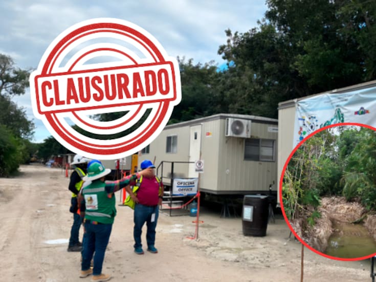 Clausura Profepa el proyecto turístico “Perfect Day Mahahual” tras devastar manglar con obras ilegales y demoliciones en Quintana Roo