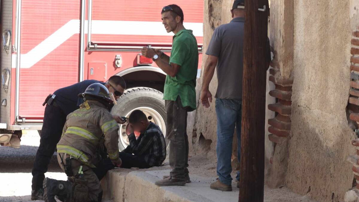 Tres niños de 10 años sufren picaduras severas en espalda, cabeza y rostro mientras circulaban en bicicleta en el Centro de la Ciudad.
Foto: Teodoro Borbón