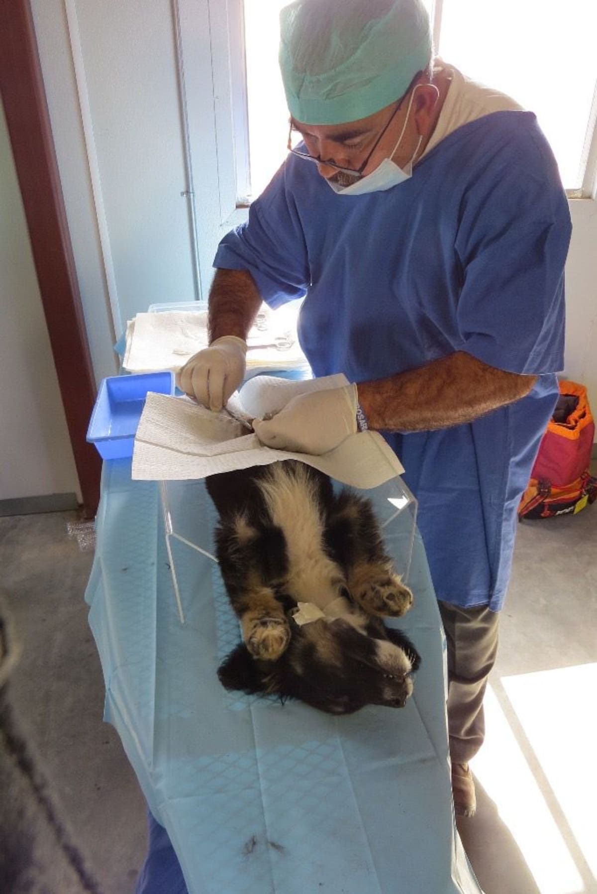 foto: Carmen Gutiérrez