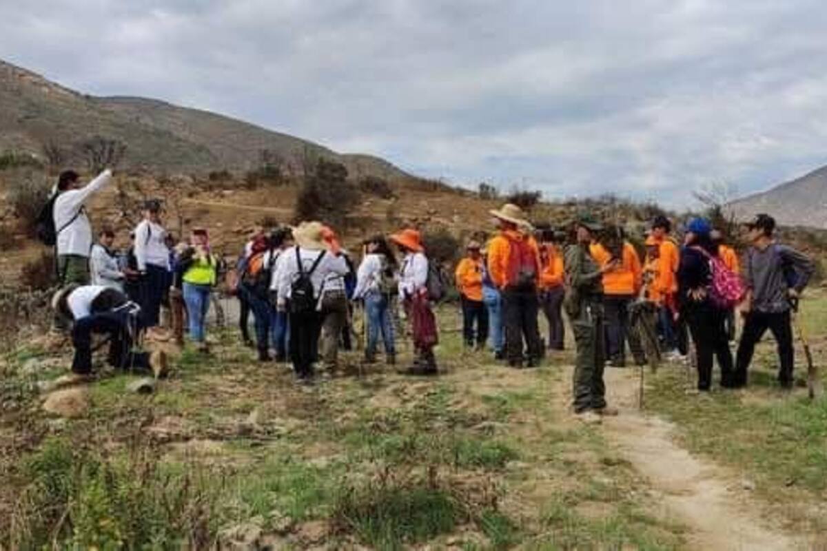 Colectivos de búsqueda realizarán jornada en la zona del bordo en Tijuana