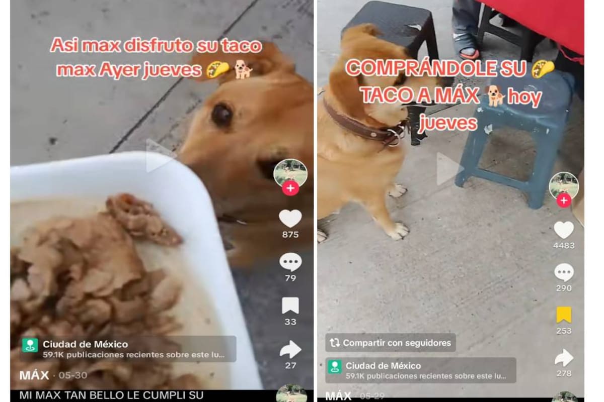 Mujer compra un taquito de bistec para su perrito