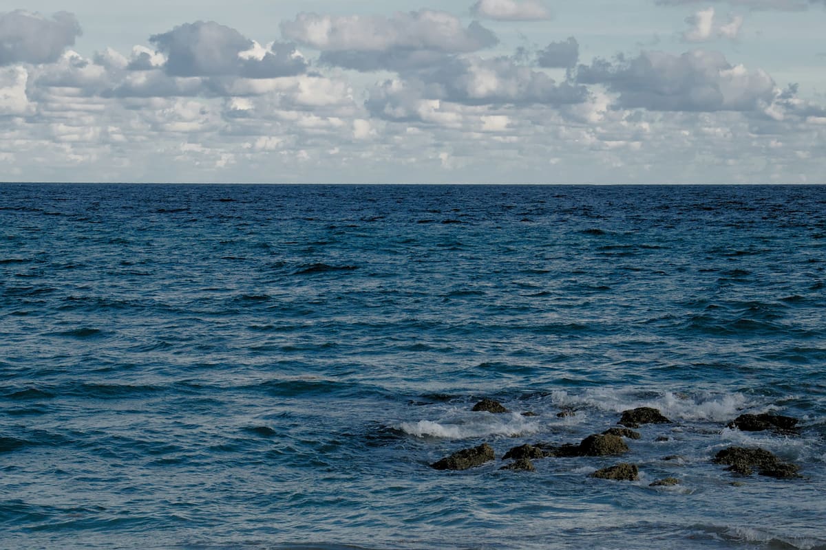 Del calor récord al enfriamiento sorprendente en el Atlántico tropical. Los científicos están investigando esta anomalía (Especial).