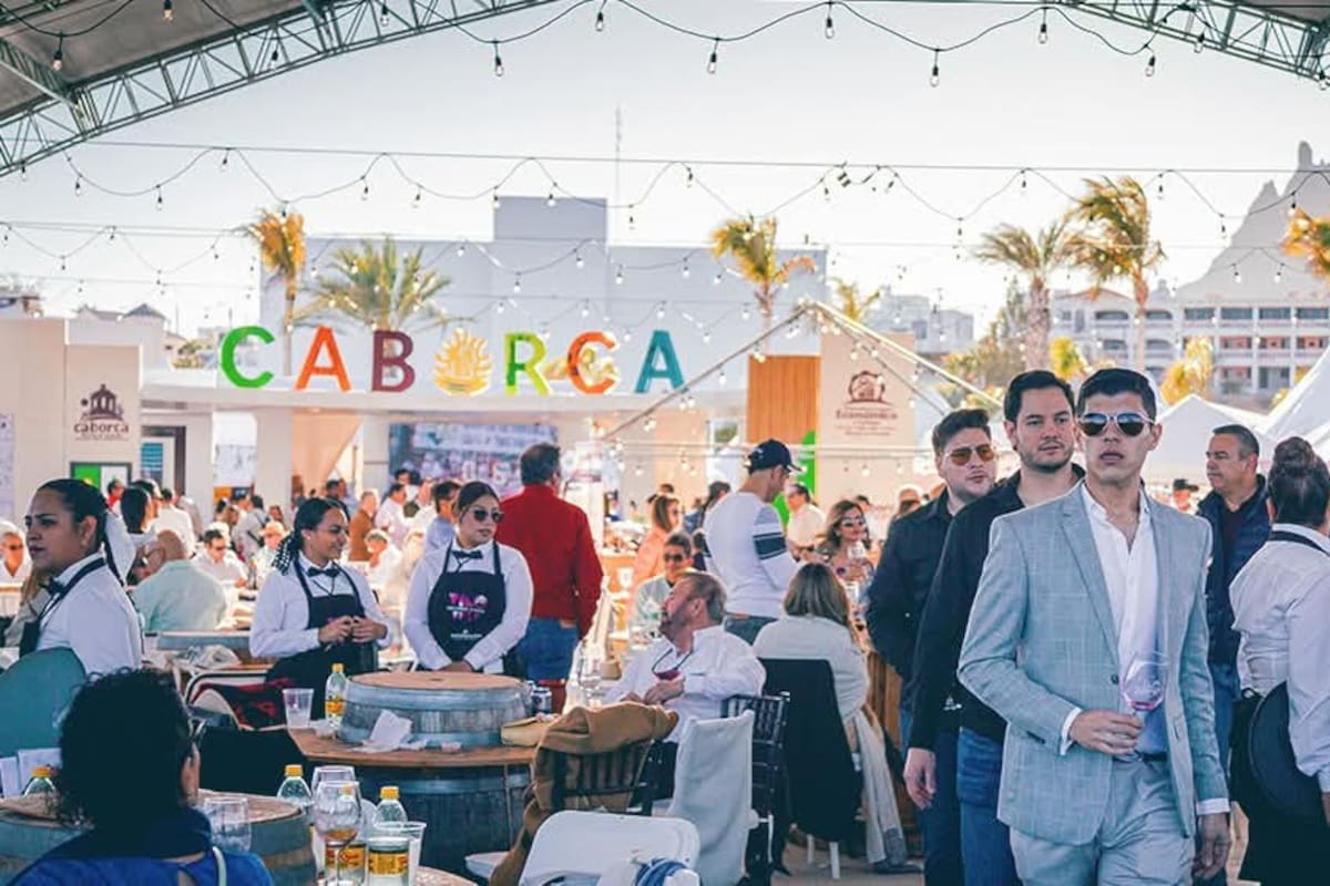 Todo lo que necesitas para esta edición del Vino Fest