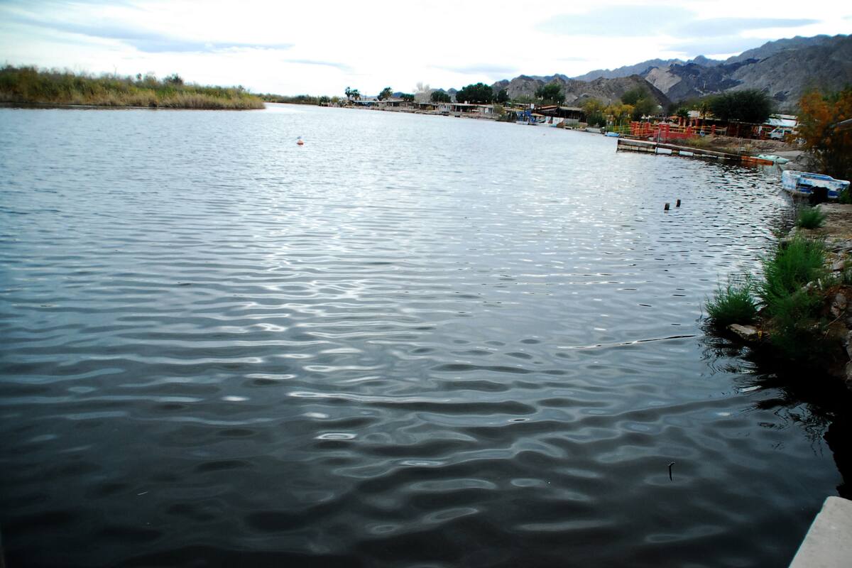 Exhortan a no bañarse en el Río Hardy por la presencia de la amiba