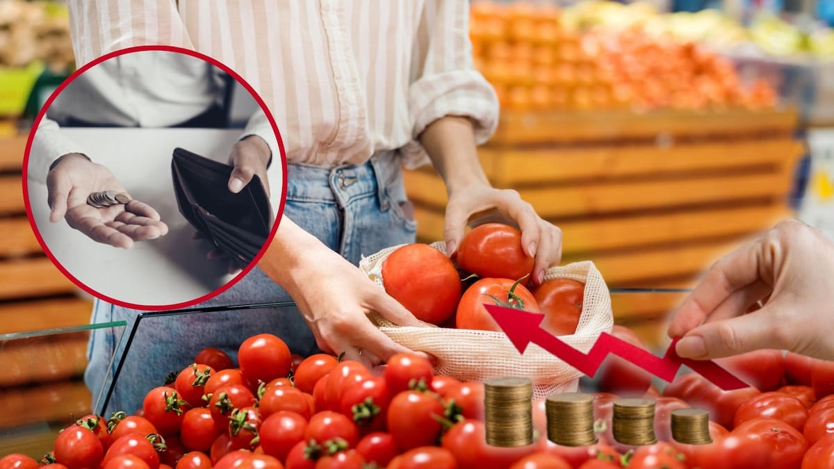 México se consolida como el mayor exportador de tomate del mundo en 2026, pero el precio local sube por la sequía extrema en Sinaloa y el aumento en costos de producción que disparan el costo al consumidor final