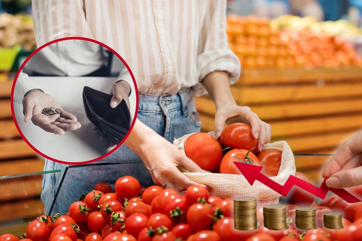 México se consolida como el mayor exportador de tomate del mundo en 2026, pero el precio local sube por la sequía extrema en Sinaloa y el aumento en costos de producción que disparan el costo al consumidor final