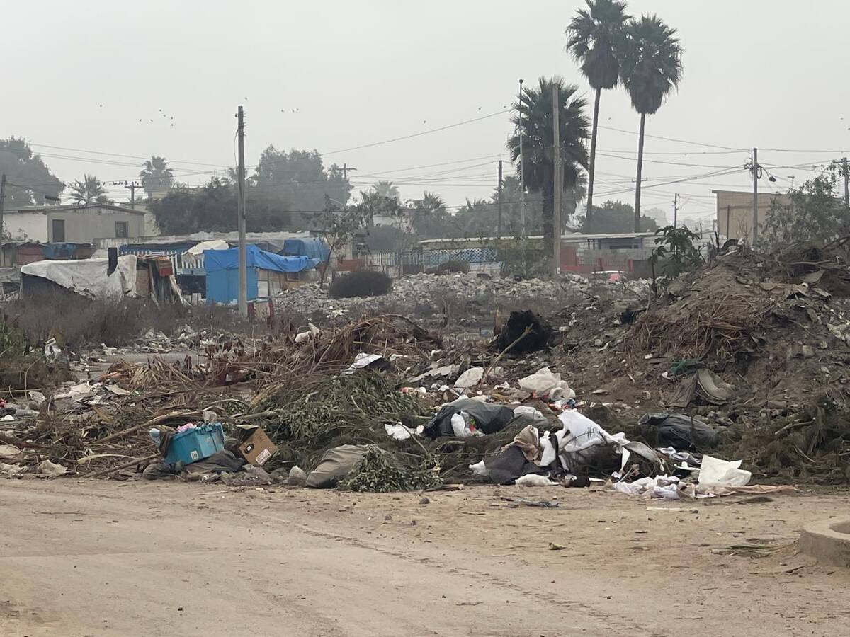 Foto: Carmen Gutiérrez