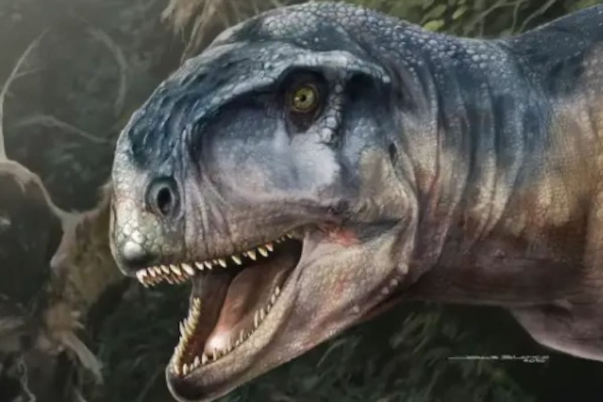 Descubren dinosaurio que lucía como un T.Rex con la cabeza llena de protuberancias