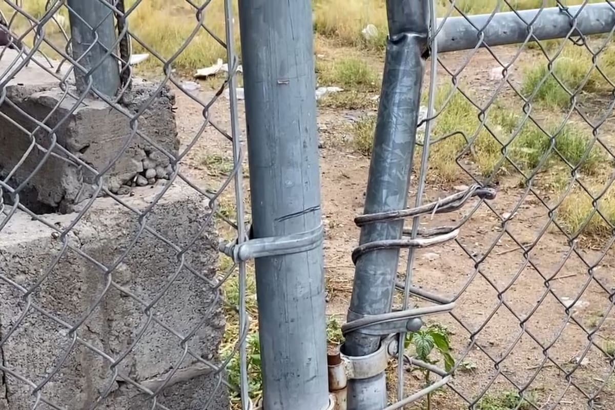 Piden reforzar vigilancia en escuelas públicas de Sonora en periodos vacacionales