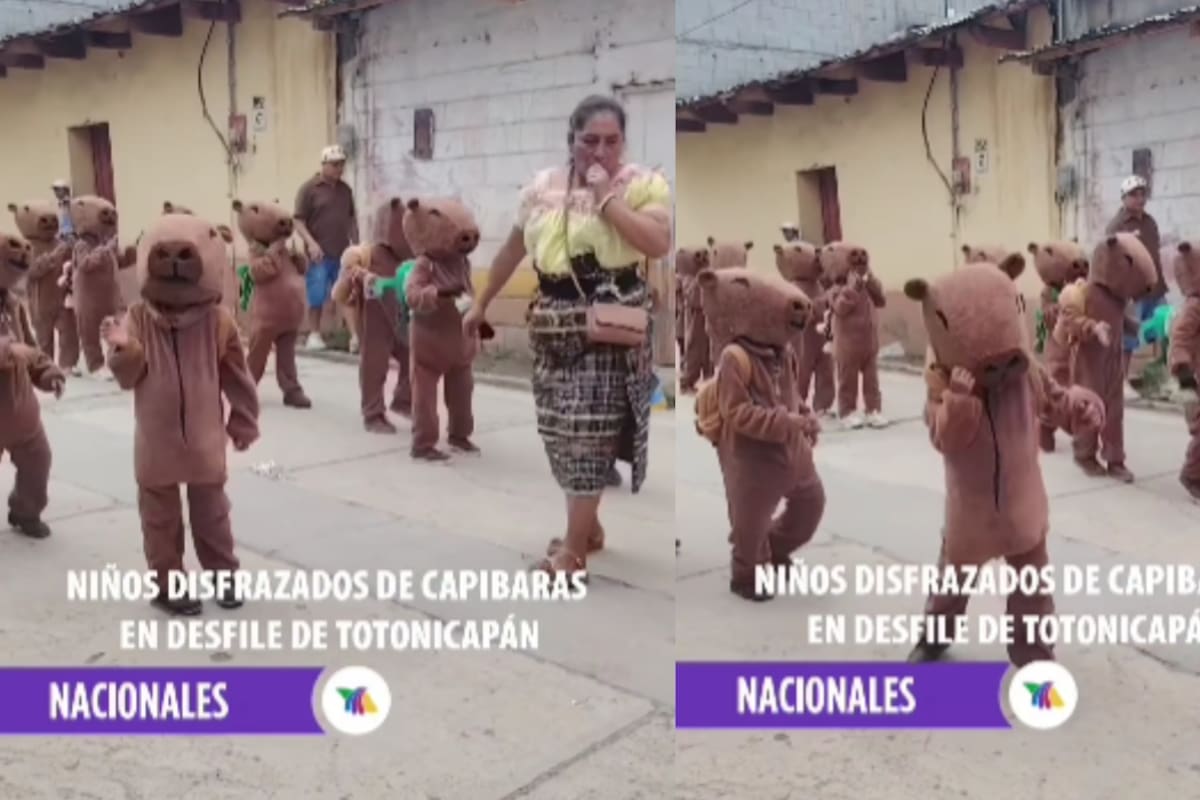 Desfile de niños disfrazados de capibara bailando se vuelve viral