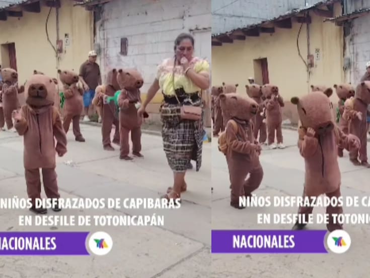 Desfile de niños disfrazados de capibara bailando se vuelve viral