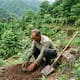 De empresario a reforestador: 43 años de cambio en China