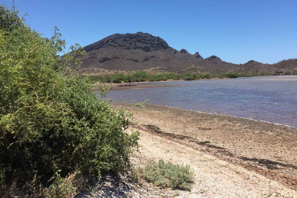 Todo listo para el "buffeltón" en el Estero el Soldado en Guaymas