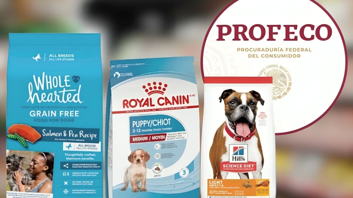 Profeco analiza alimento para perro y concluye que Hill’s Science Diet, Royal Canin y WholeHearted son las marcas con mayor puntuación en cuanto a calidad, contenido nutricional y etiquetado