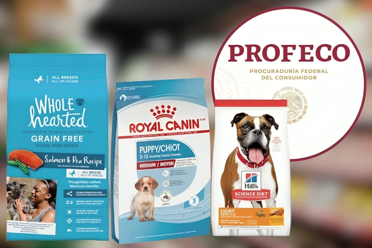 Profeco analiza alimento para perro y concluye que Hill’s Science Diet, Royal Canin y WholeHearted son las marcas con mayor puntuación en cuanto a calidad, contenido nutricional y etiquetado