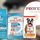 Profeco analiza alimento para perro y concluye que Hill’s Science Diet, Royal Canin y WholeHearted son las marcas con mayor puntuación en cuanto a calidad, contenido nutricional y etiquetado
