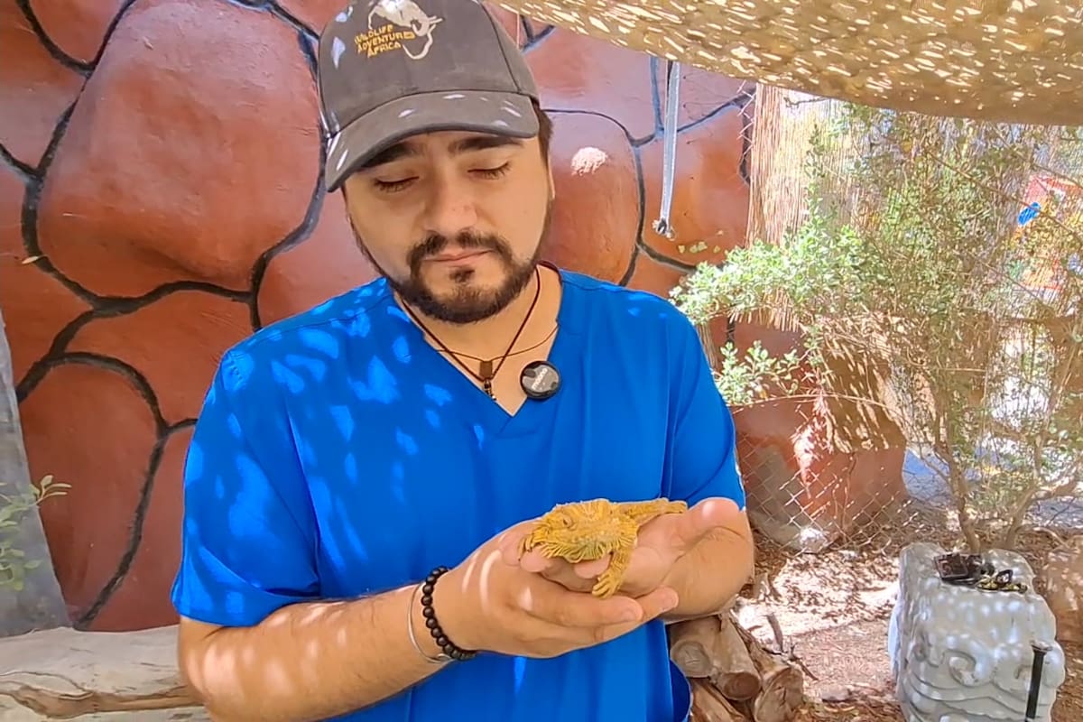 Celebran día del veterinario zootecnista en el Bosque de la Ciudad