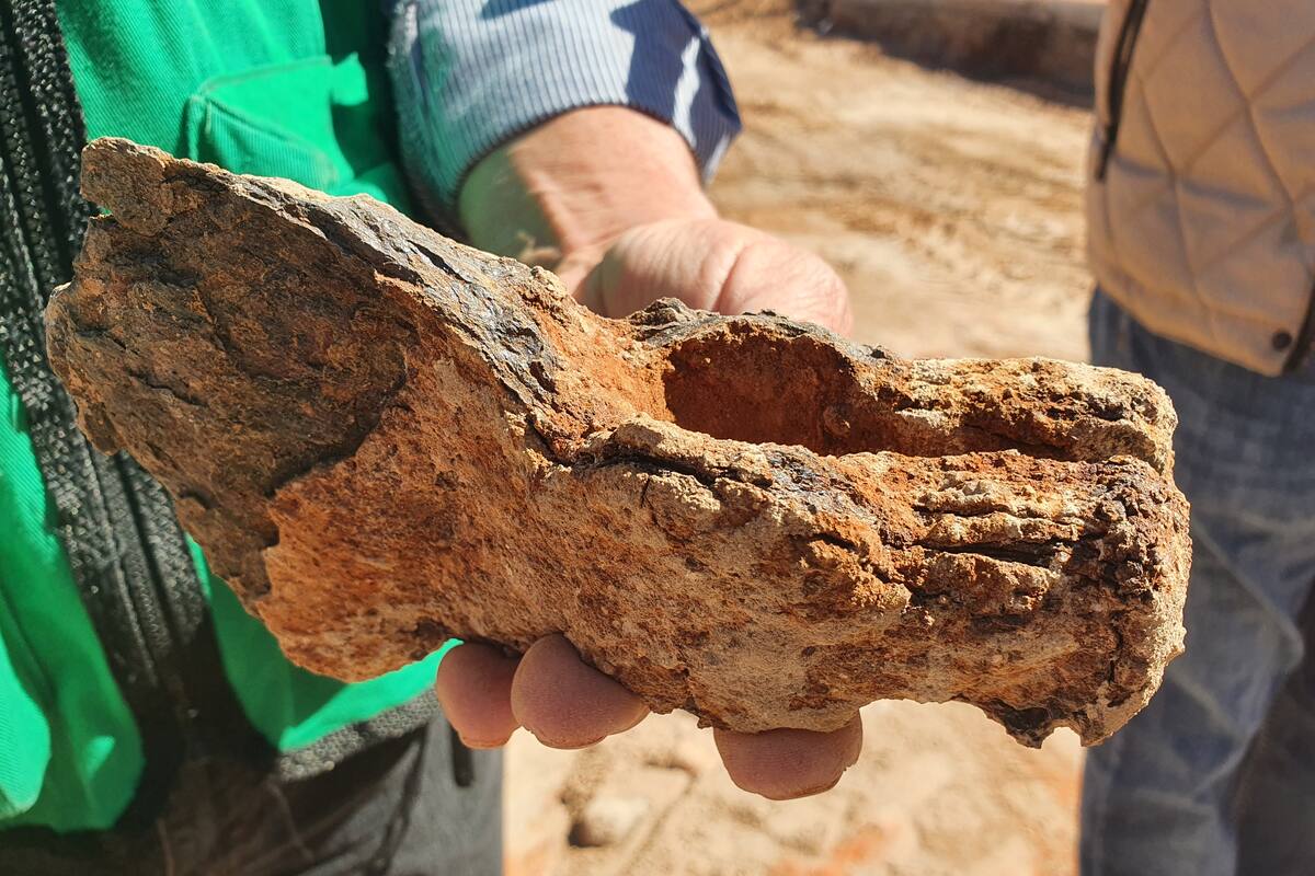 Hallan antiguos desagües en obras; descartan que sean “túneles secretos”