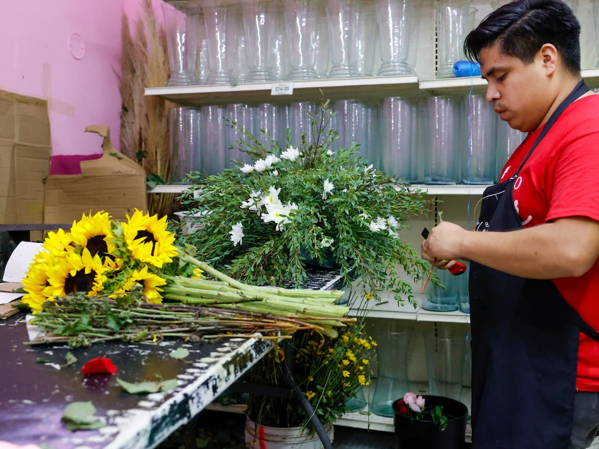 Las altas temperaturas de Mexicali pueden acelerar el deterioro de las flores, por lo que floristas recomiendan mantenerlas hidratadas y alejadas del calor directo. Foto: Juan J Morales.