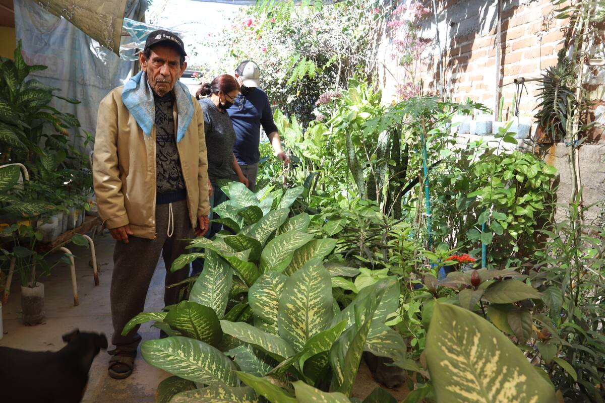 Hermosillo: Don Tavo vende sus plantas al no poder cuidarlas, pero recibe una grata sorpresa